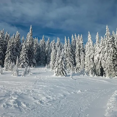 Chalet Martinky *