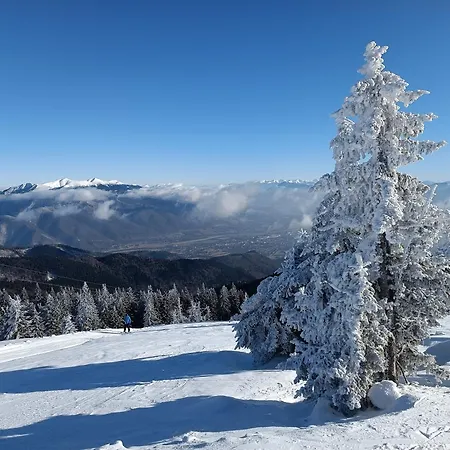 Martinky Chalet