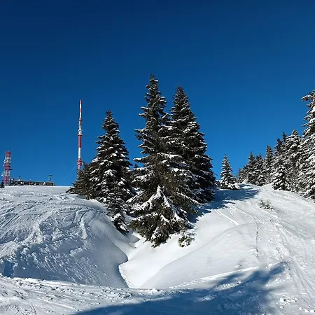Martinky Chalet