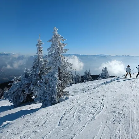 Chalet Martinky